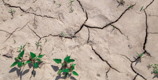 land desertification summer drought Italian countryside europa